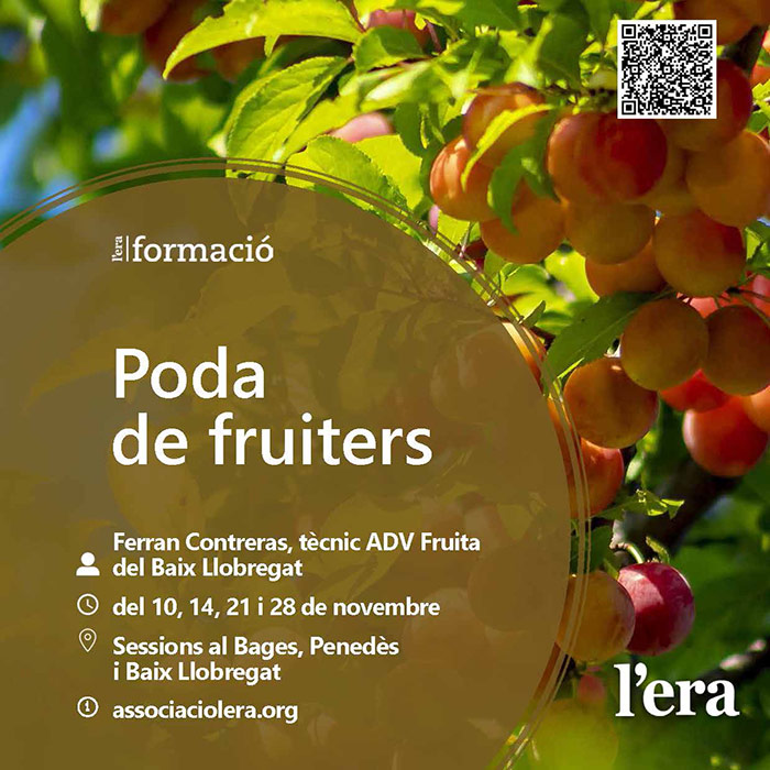 Curs - Poda d'arbres fruiters