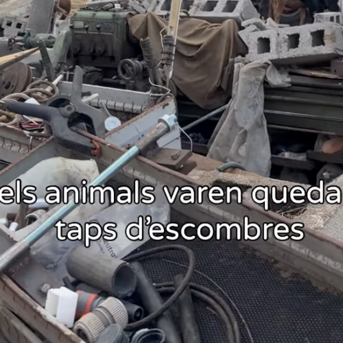 Campaña «Ayudemos a Sa Casa Pagesa»