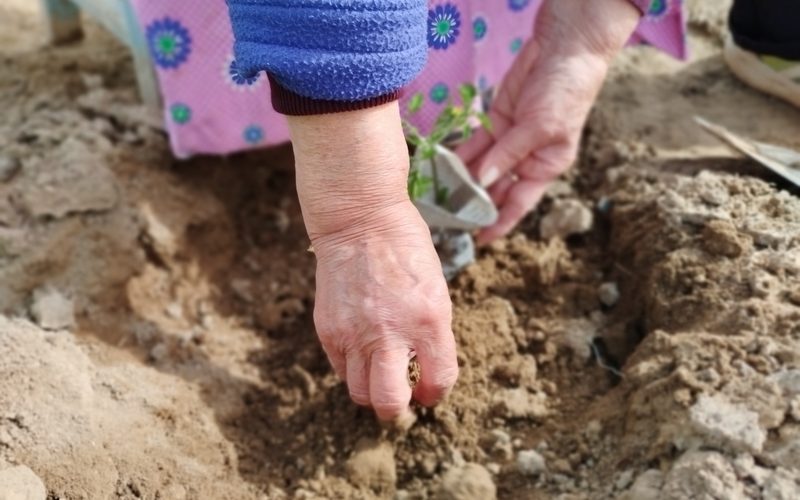 El futuro se siembra en el rural